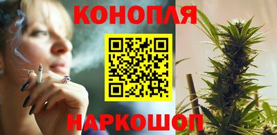 сатива Лесосибирск