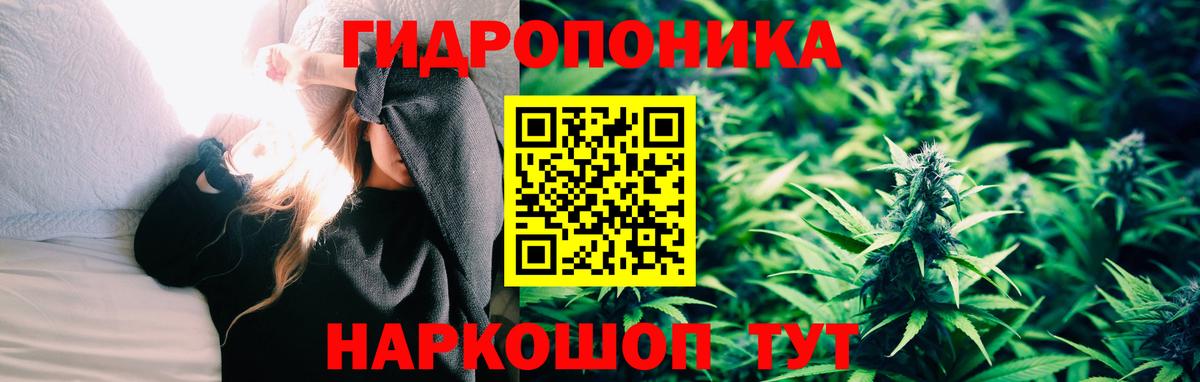 Бошки Шишки SATIVA & INDICA  Шишки марихуана планчик  Усть-Илимск  Вход с VPN  МАРИХУАНА VHQ  Шишки марихуана марихуана 